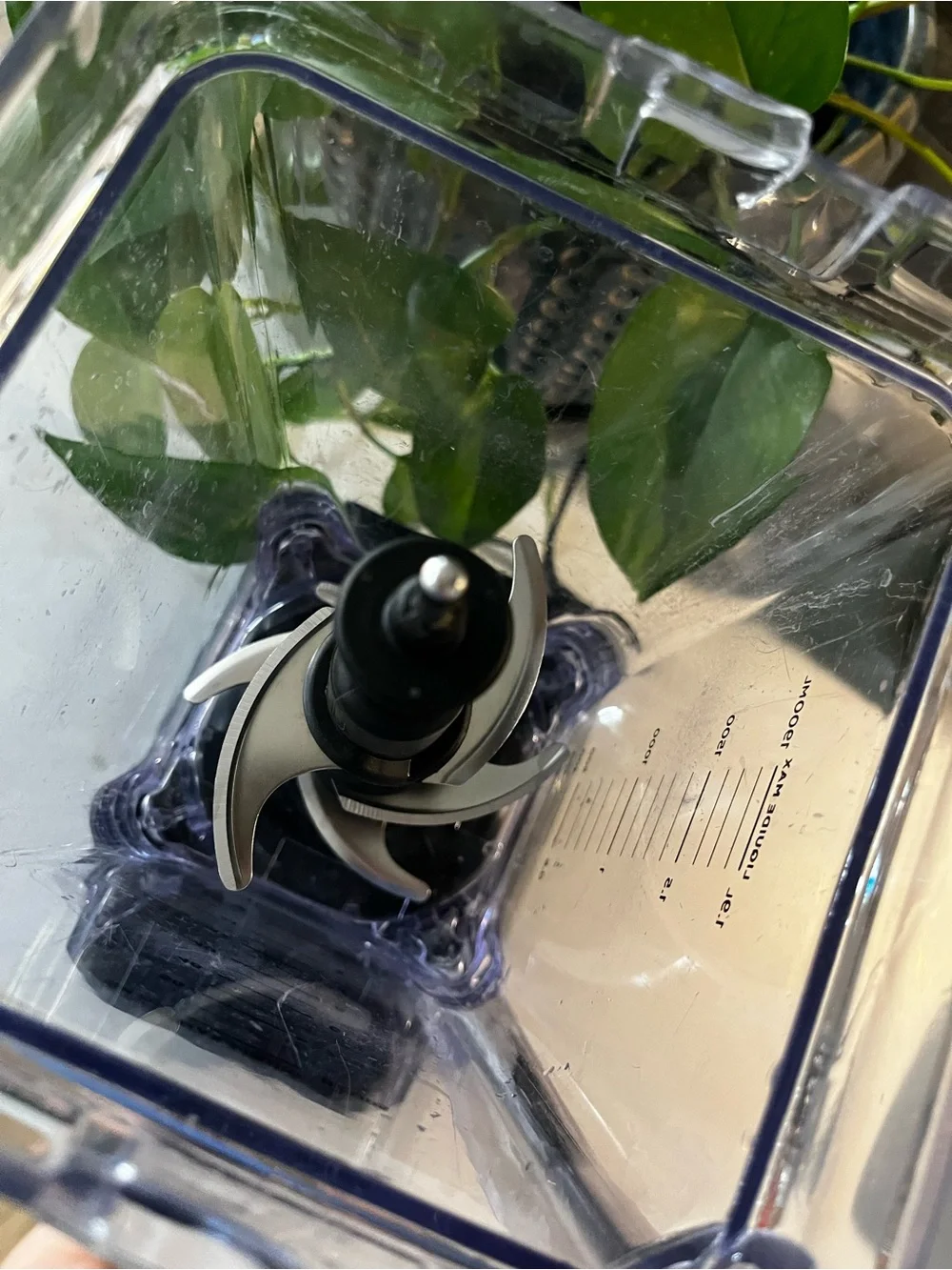Ninja Blender